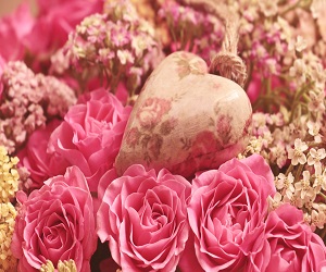pink roses