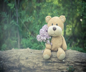 teddy bear