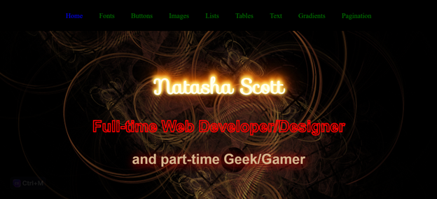 CSS Design Project