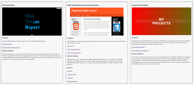Project Section